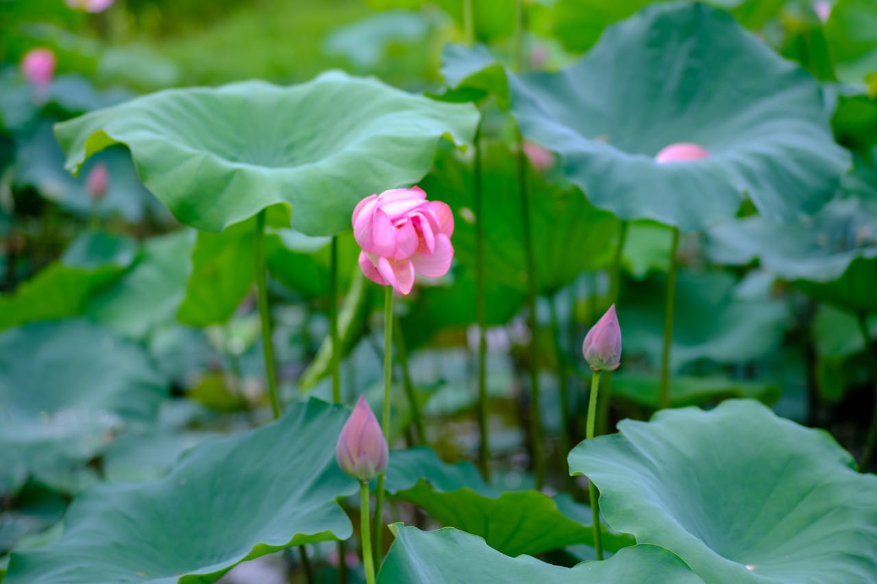 Thám tử lừng danh Conan | Chương 0569