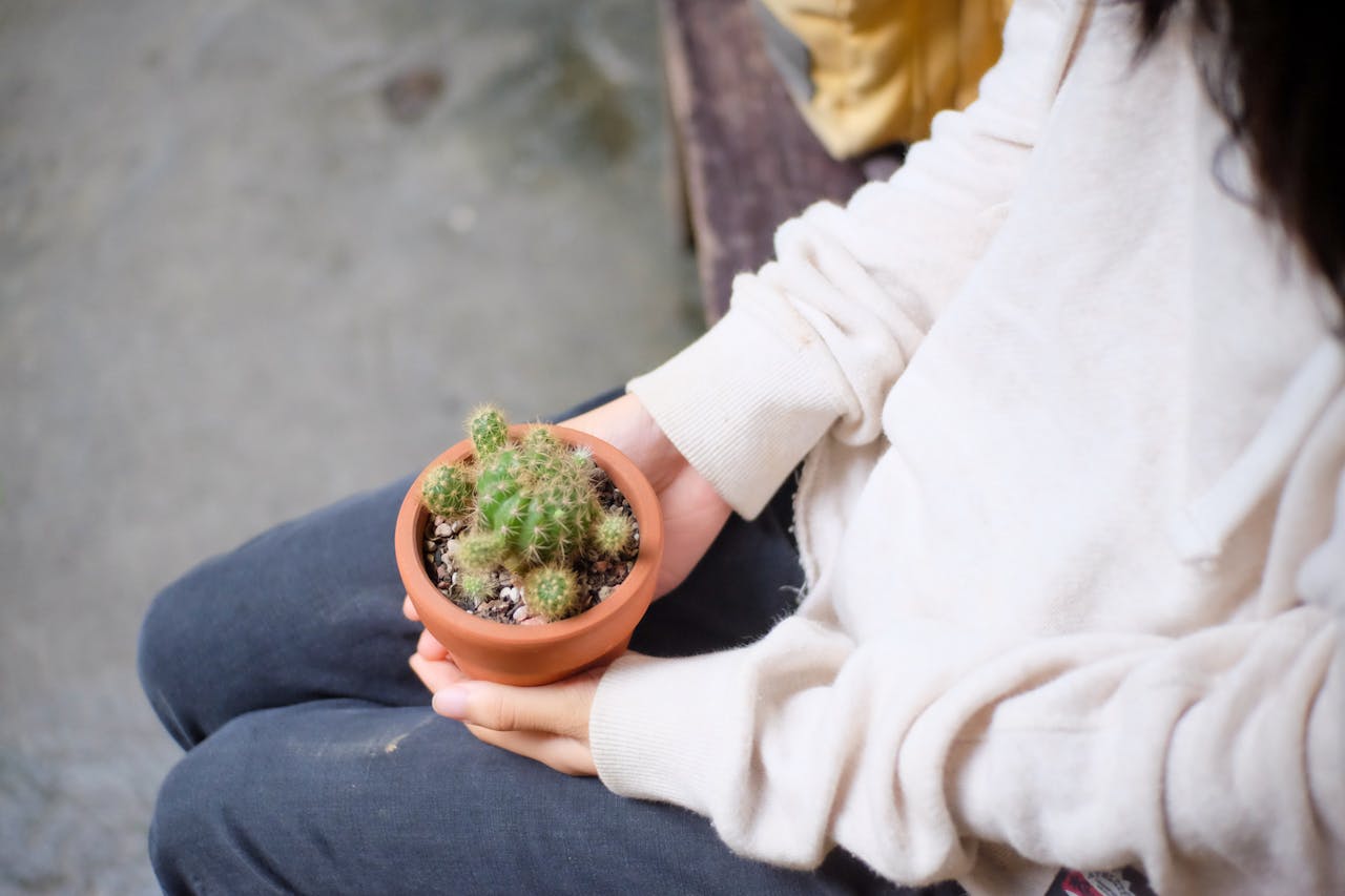 Chăn trâu cắt cỏ