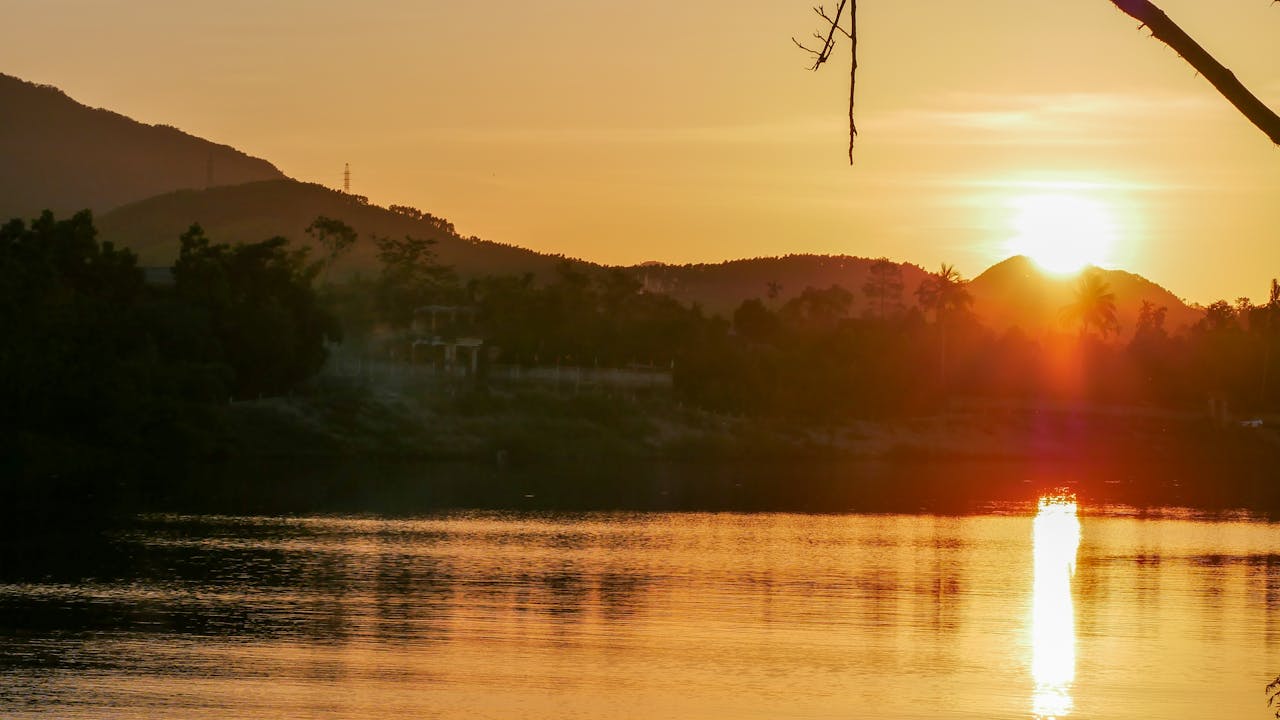 Biên niên ký chim vặn dây cót | Chương 54