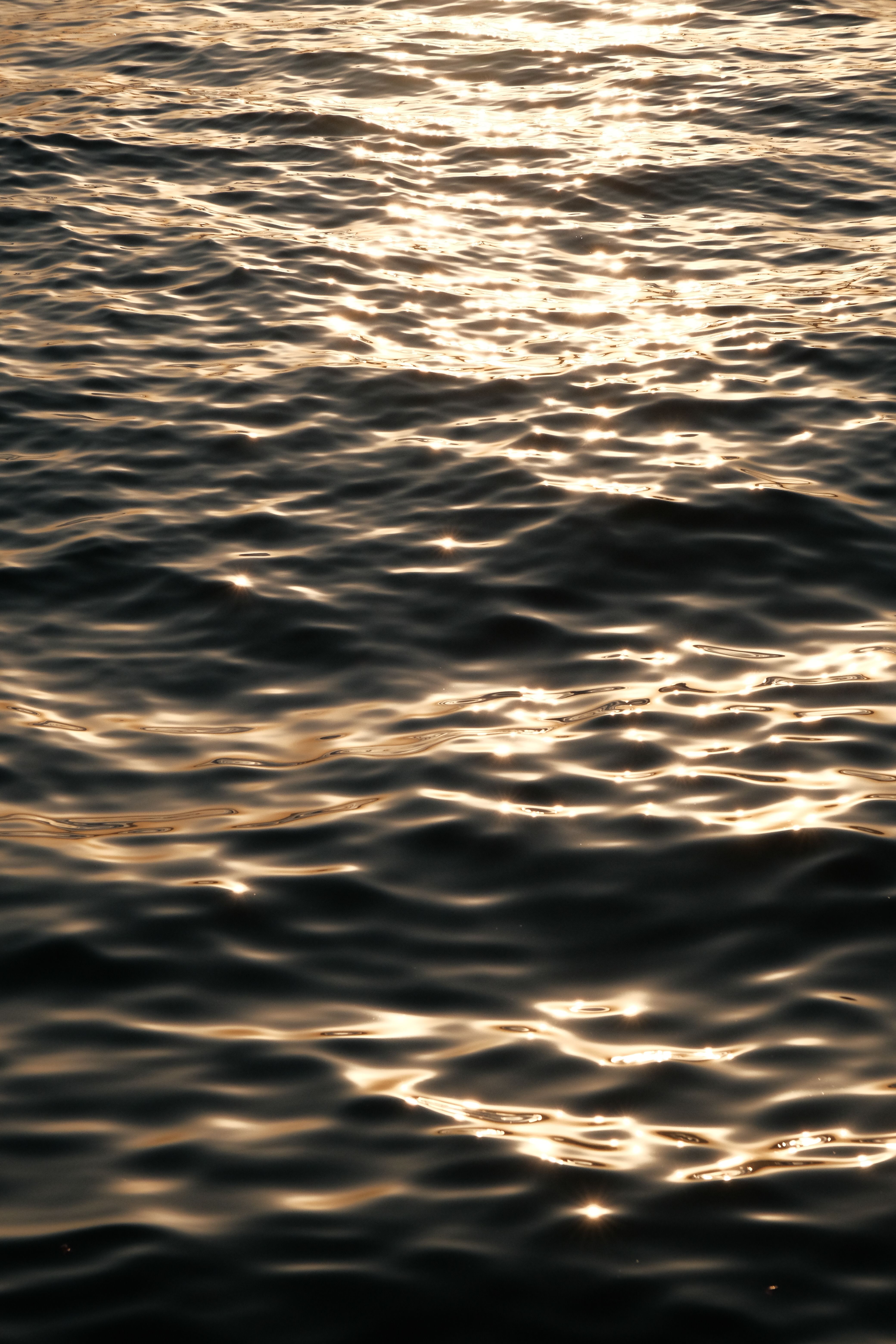 Golden Sunlight Reflecting on Ocean Waves · Free Stock Photo