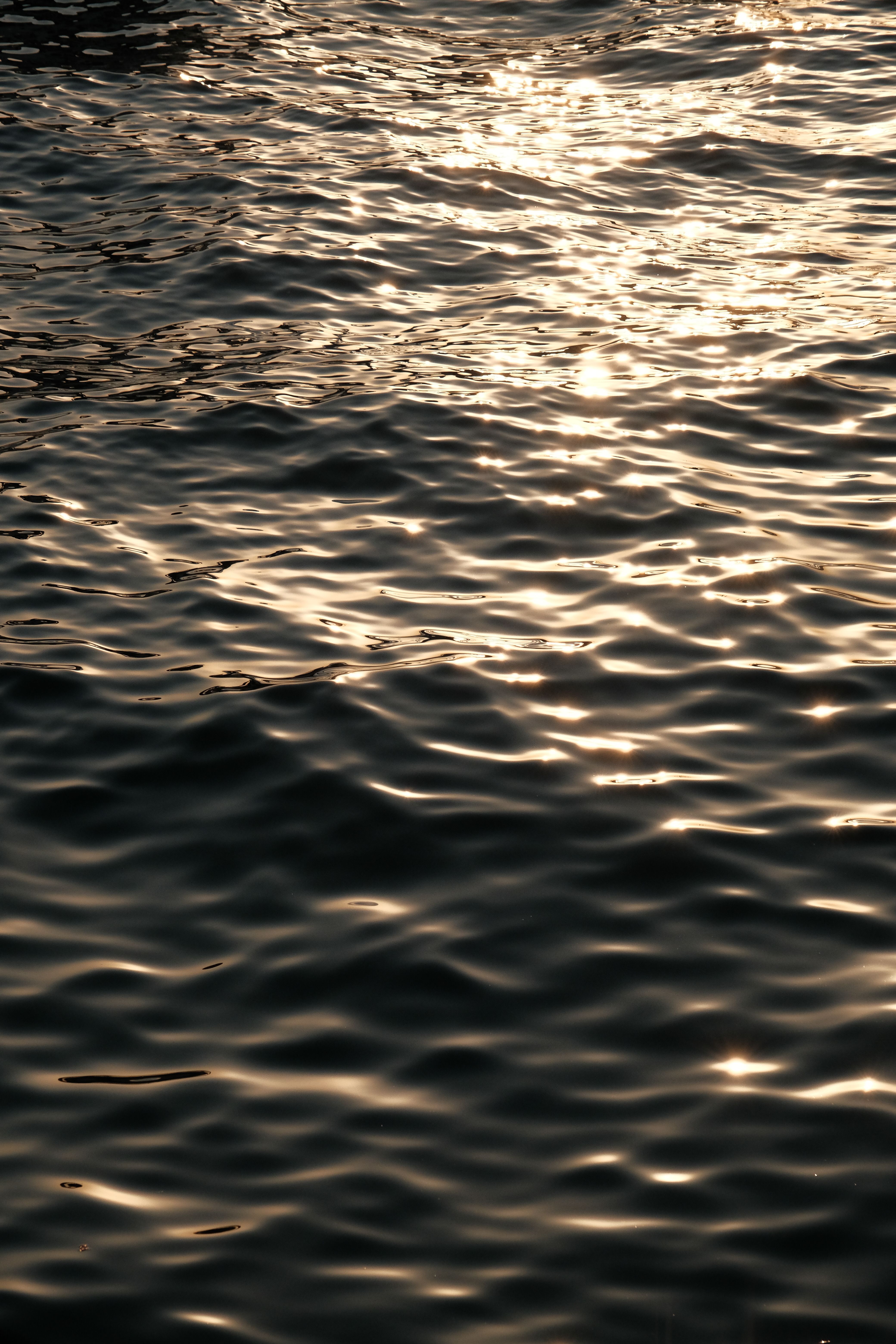 Golden Sunlight on Rippling Water Surface · Free Stock Photo