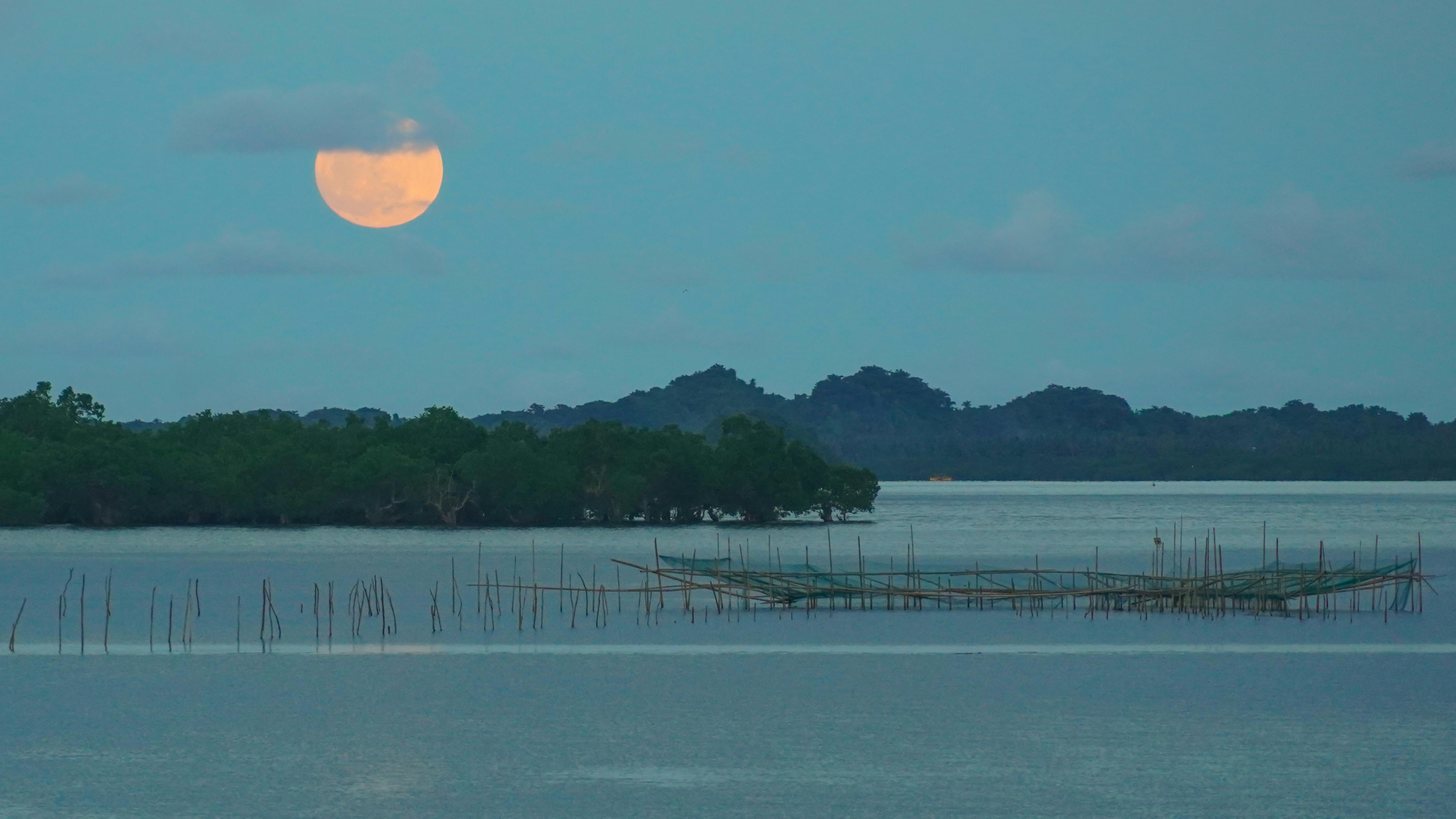 Macarthur John F Macarthur John