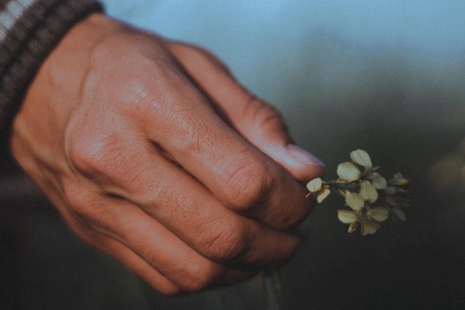 A close-up image of a hand gently holding small wildflowers, showcasing texture and nature.