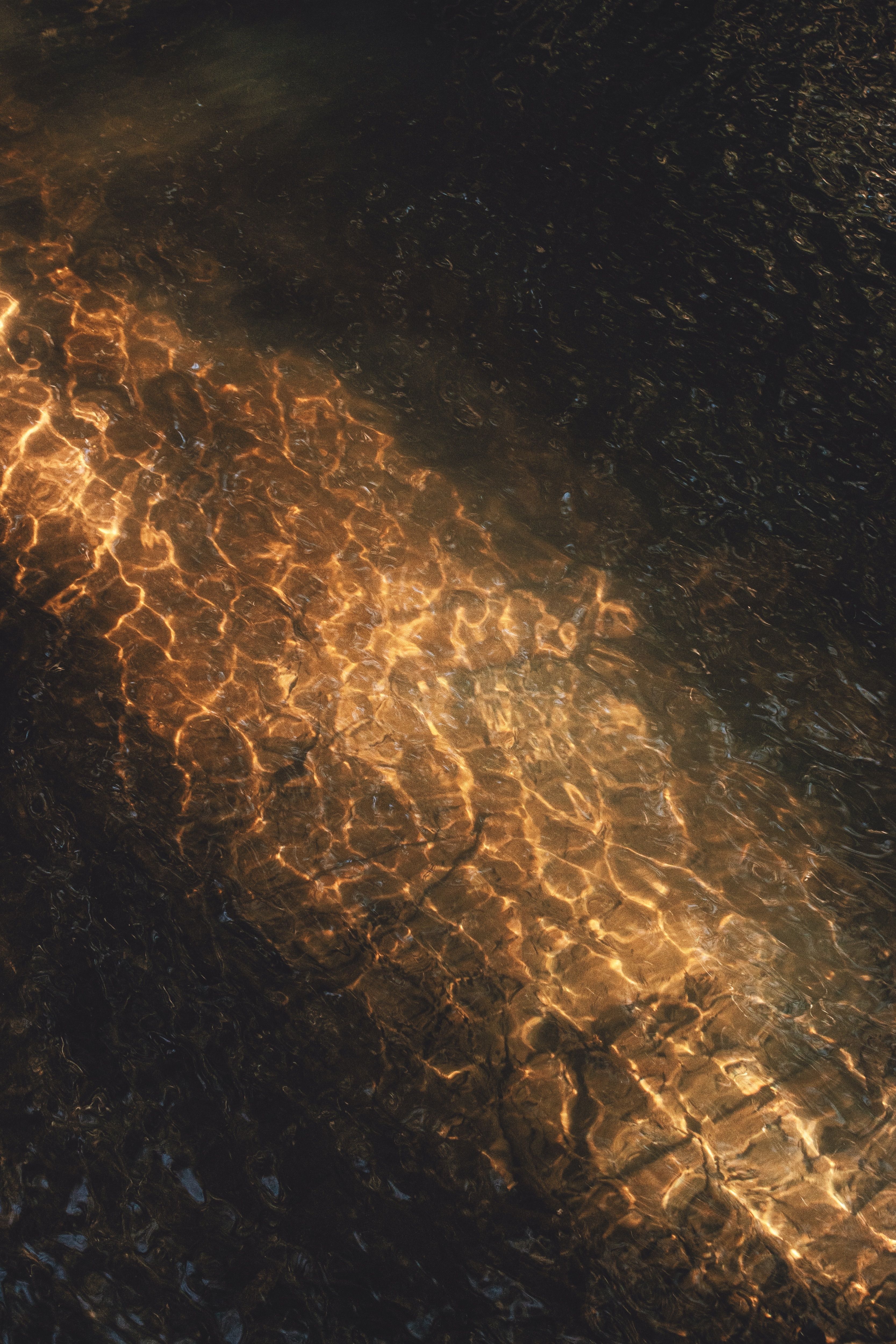 Golden Light Reflections on Water Surface · Free Stock Photo