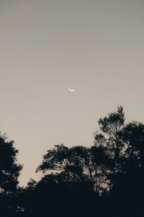 Free A serene view of a crescent moon in the evening sky above silhouetted trees, evoking tranquility. Stock Photo