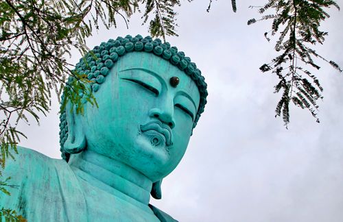 Free Close-up of a serene Buddha statue surrounded by trees, Thailand. Stock Photo
