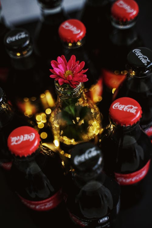 Free Flower on Coca-Cola Bottle Stock Photo