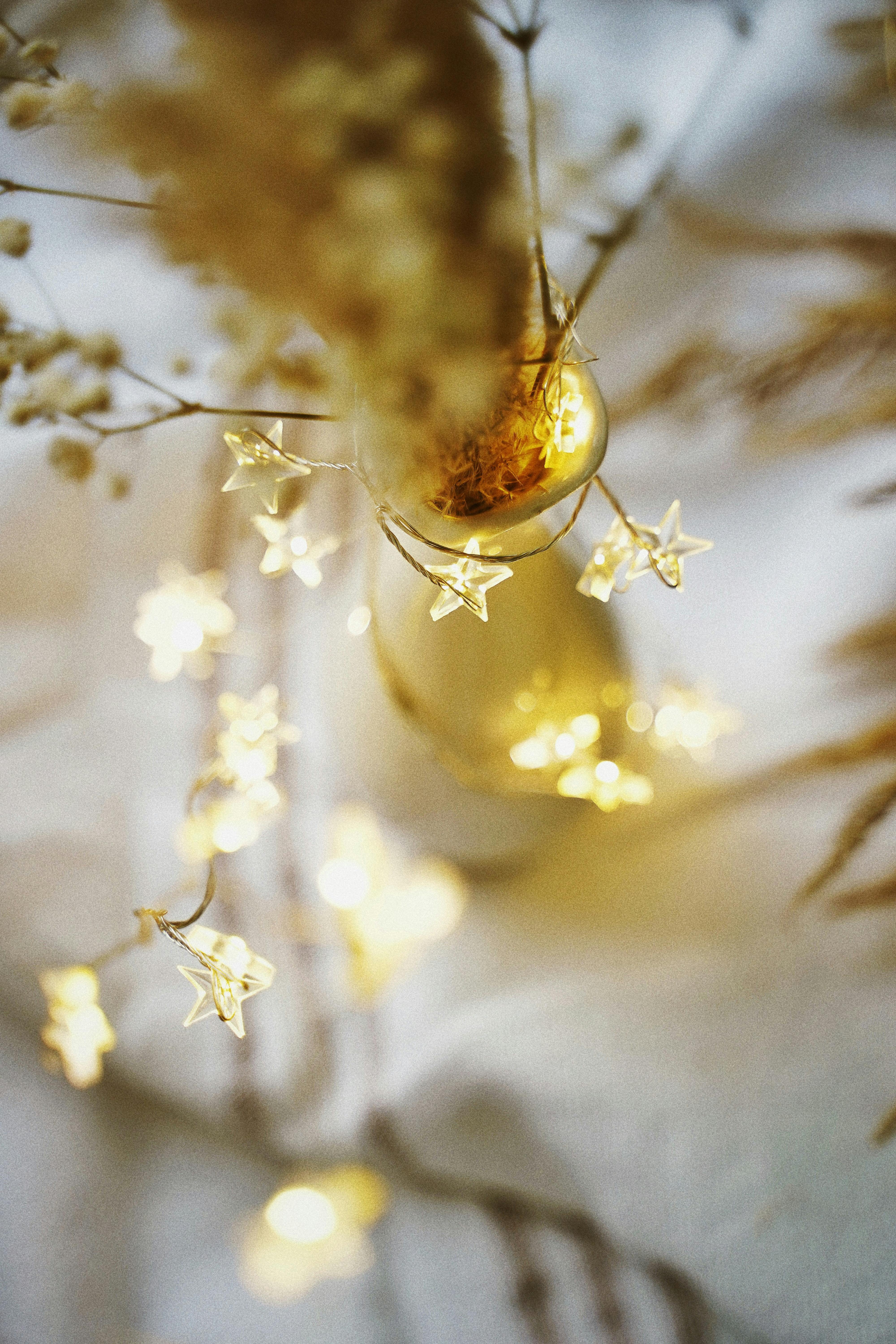 Fairy lights aesthetic HD wallpapers  Pxfuel