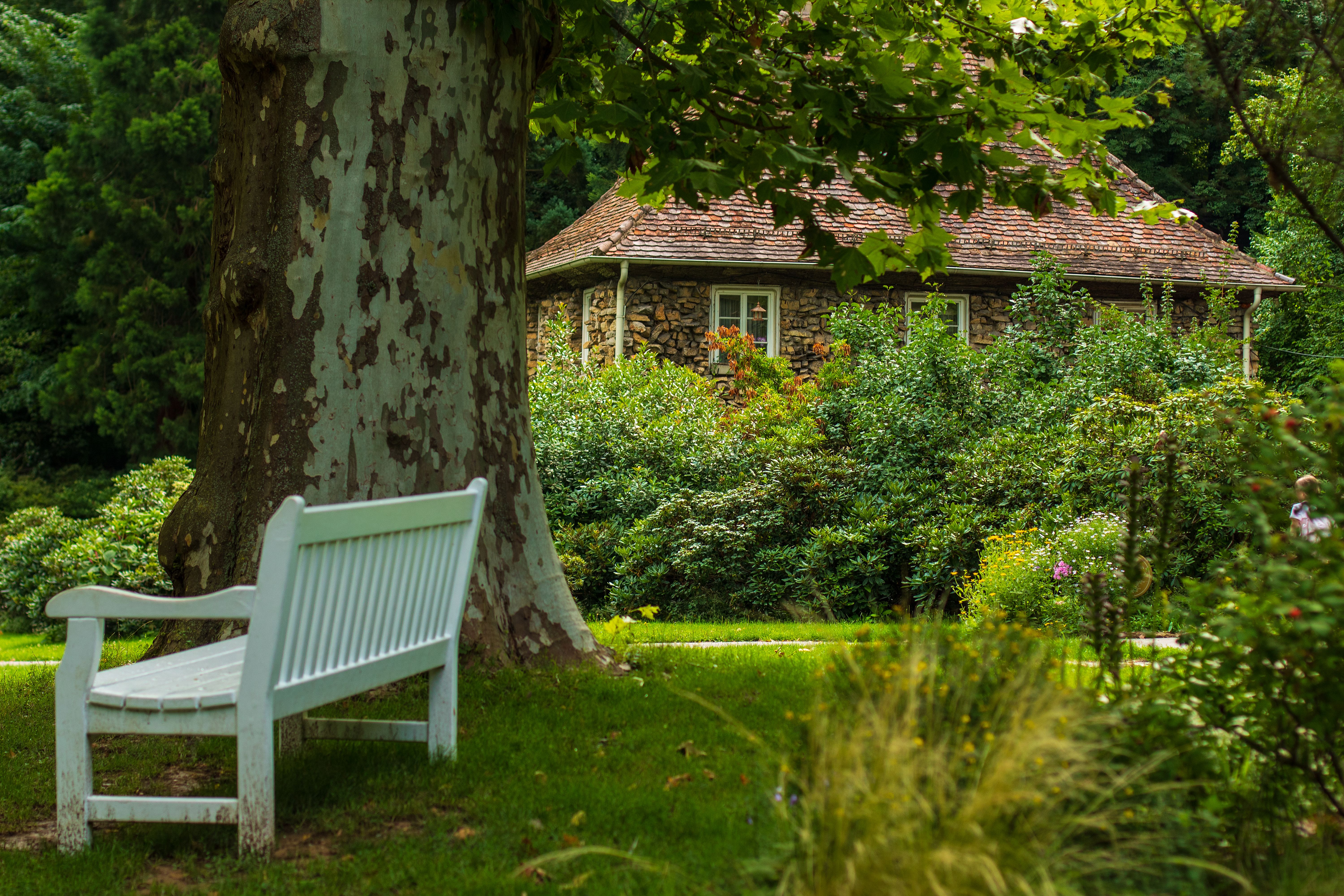 Jardin tranquille à Ludwigsburg, en Allemagne, avec un banc blanc sous un grand arbre avec une maison en pierre en arrière-plan.