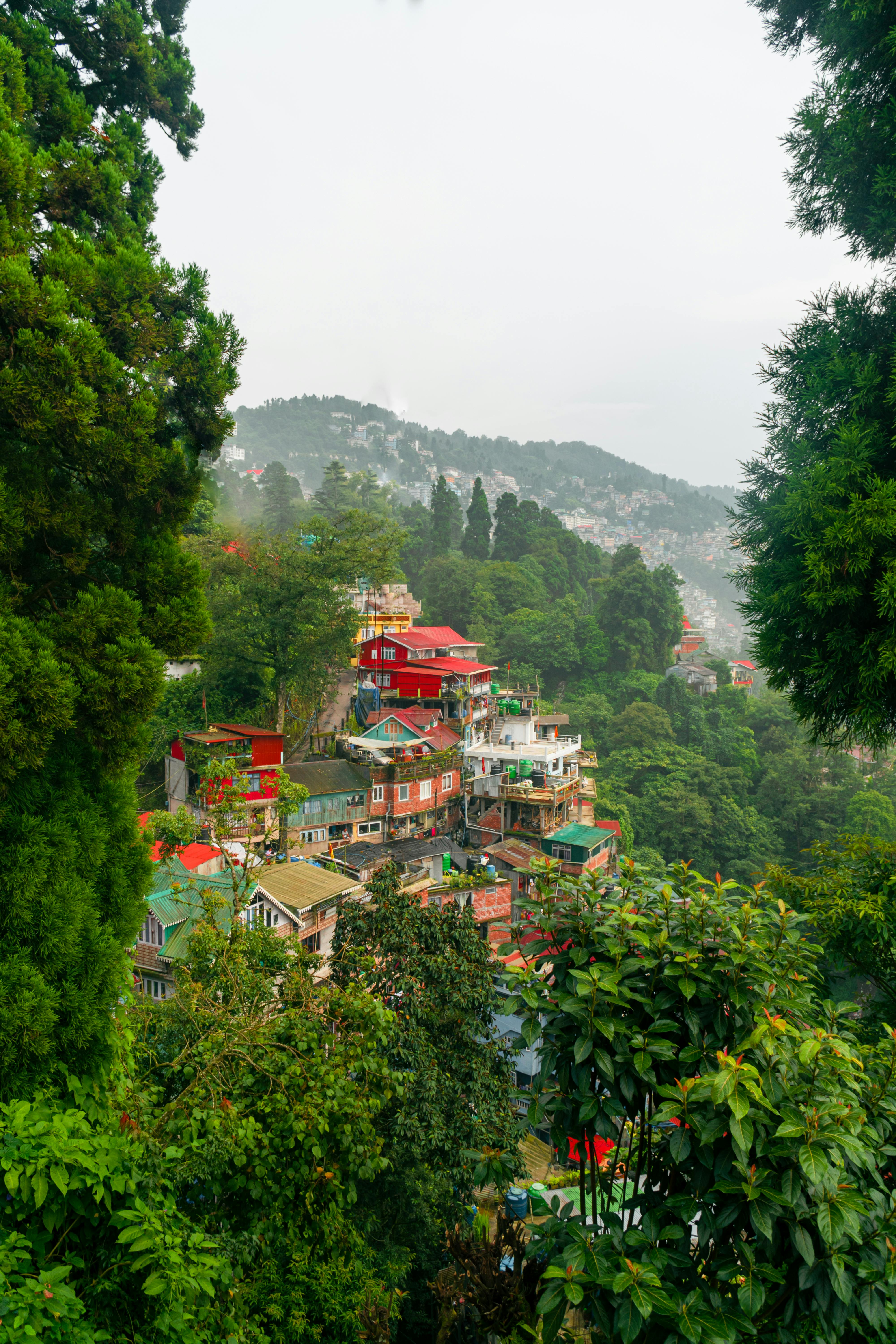 Darjeeling Hills