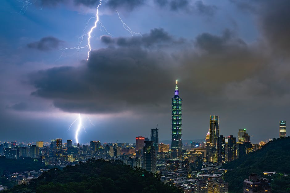 대만 야구 리그