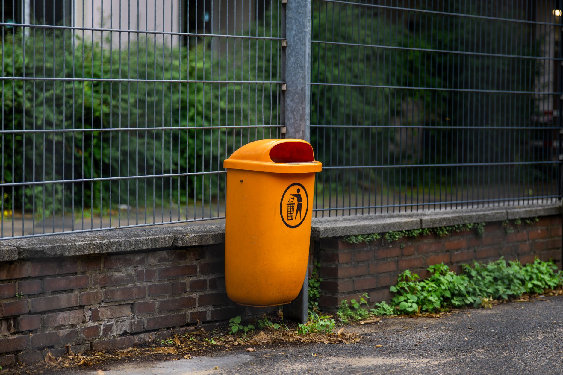 Best Car Trash Cans 2026 — Hanging & Console