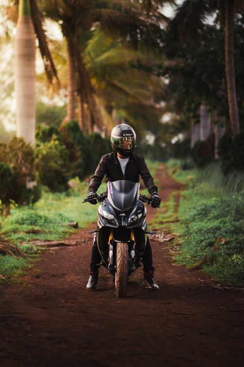 Free A motorcyclist in a helmet rides along a lush tropical path at sunset, surrounded by palm trees. Stock Photo