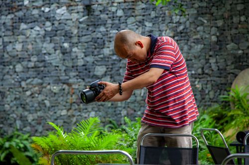 Free Photographer in striped shirt capturing images outdoors surrounded by greenery. Stock Photo