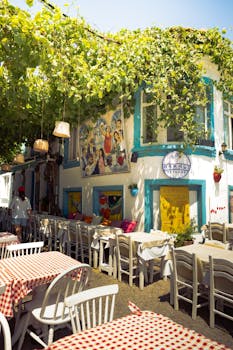 Idyllic outdoor cafe with colorful decor in Bozcaada, Türkiye under lush grapevines.