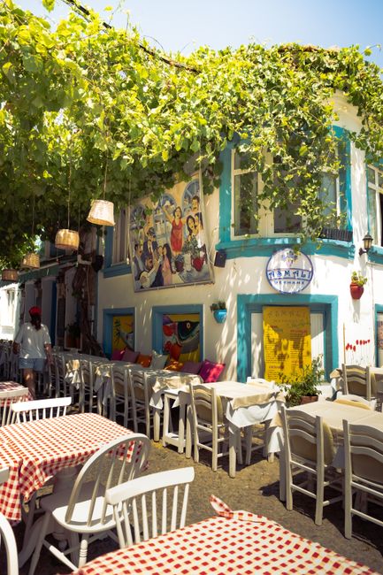 Idyllic outdoor cafe with colorful decor in Bozcaada, Türkiye under lush grapevines.