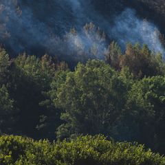 Fire in Greece: Emergency crews battle blaze in Voskina Kynourias