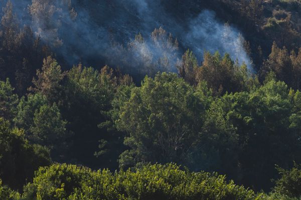Fire in Greece: Emergency crews battle blaze in Voskina Kynourias