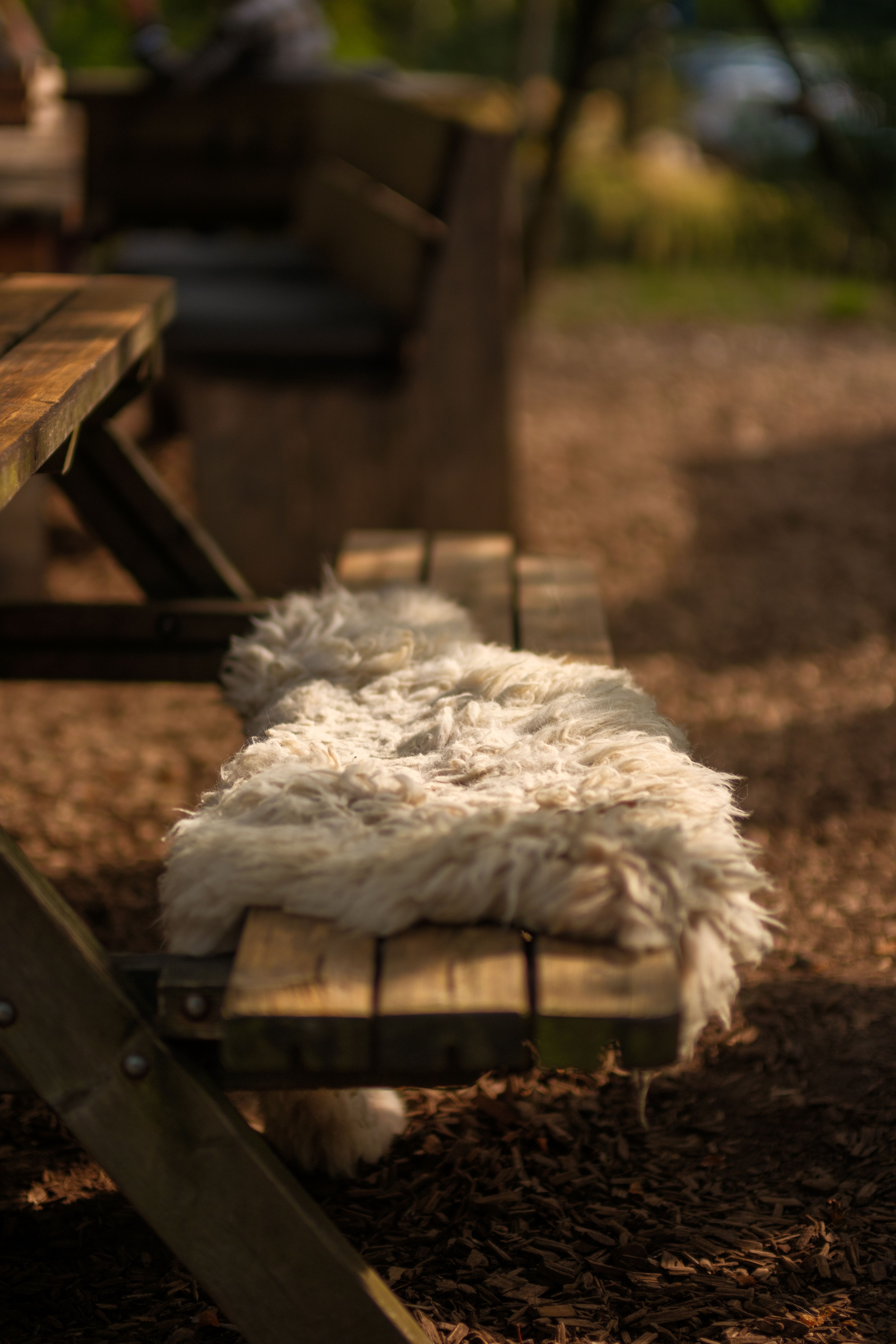 Bench With Sheep Skin Rug On It Photos, Download The BEST Free Bench ...