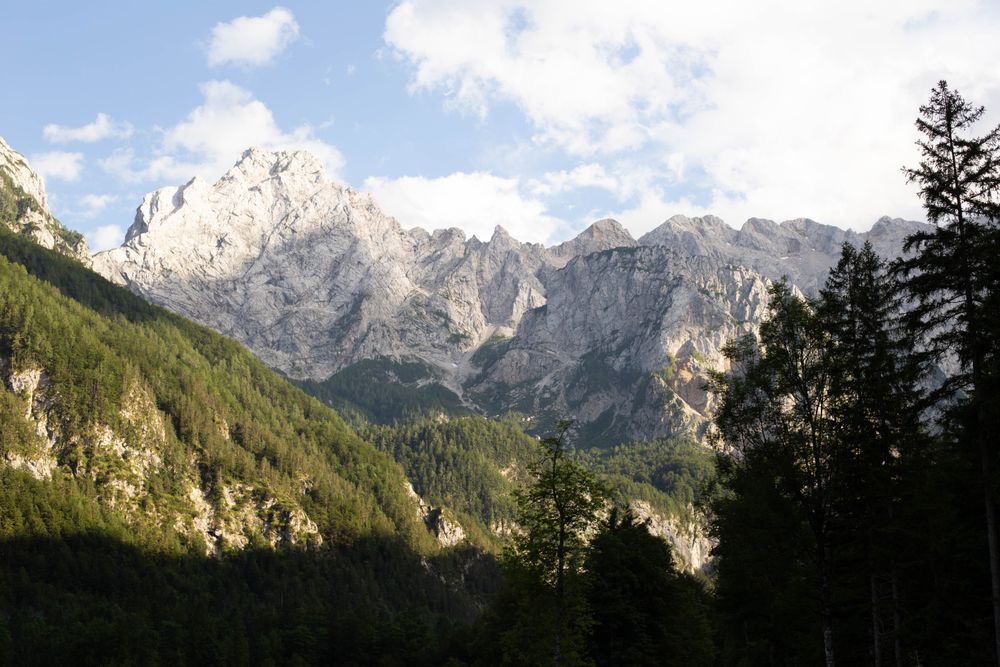 Pădure de conifere și munți în Alpii Iulieni, Slovenia