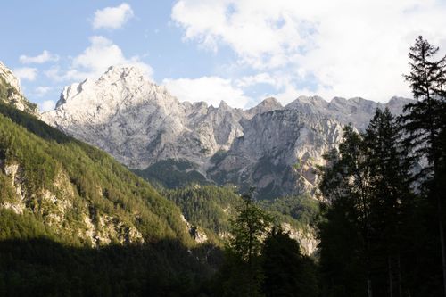 Free Breathtaking view of Slovenian Alps and lush pine forest under a clear sky. Stock Photo
