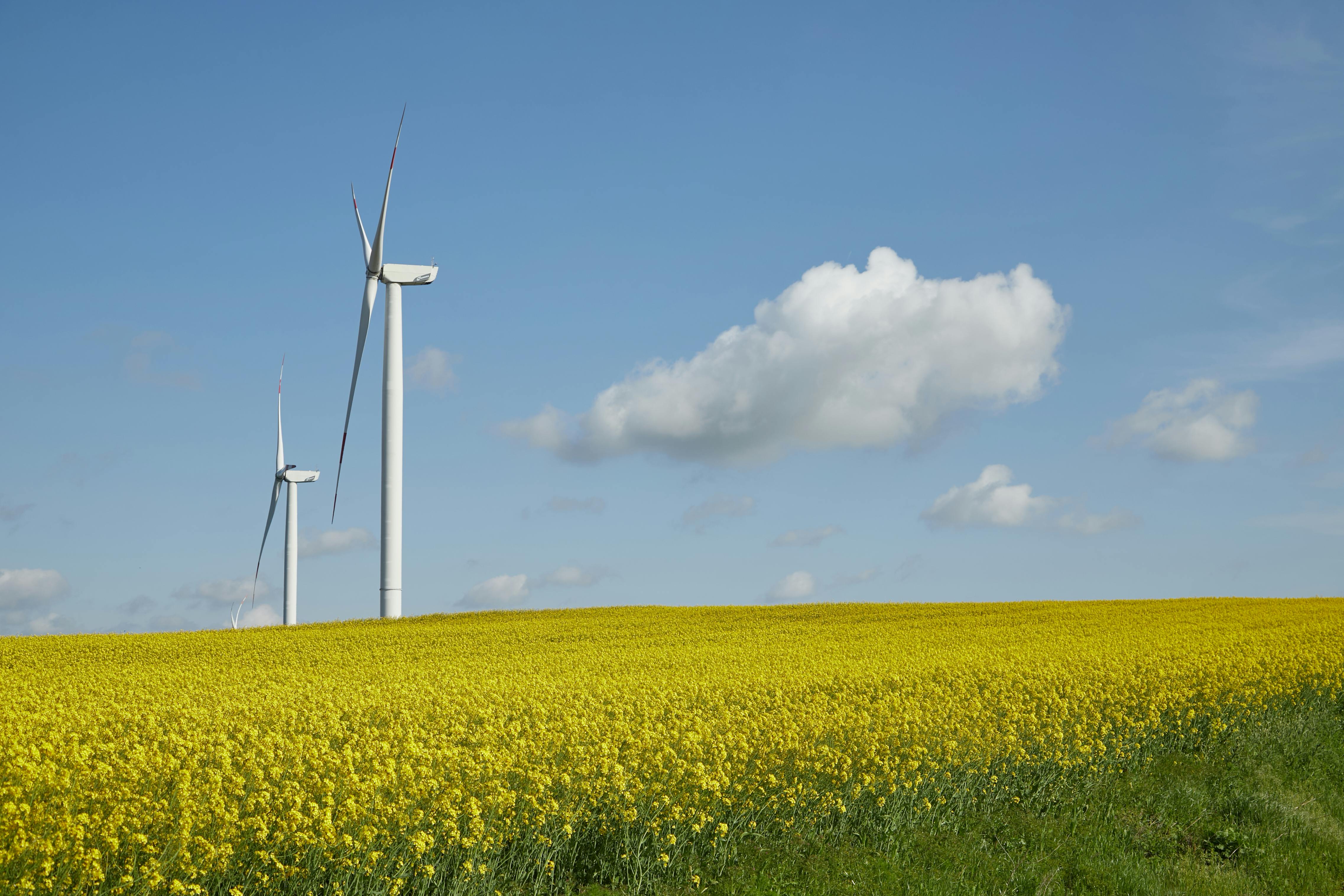 is green energy sustainable, green energy for life, sustainable energy issues, a green and sustainable life, green energy and