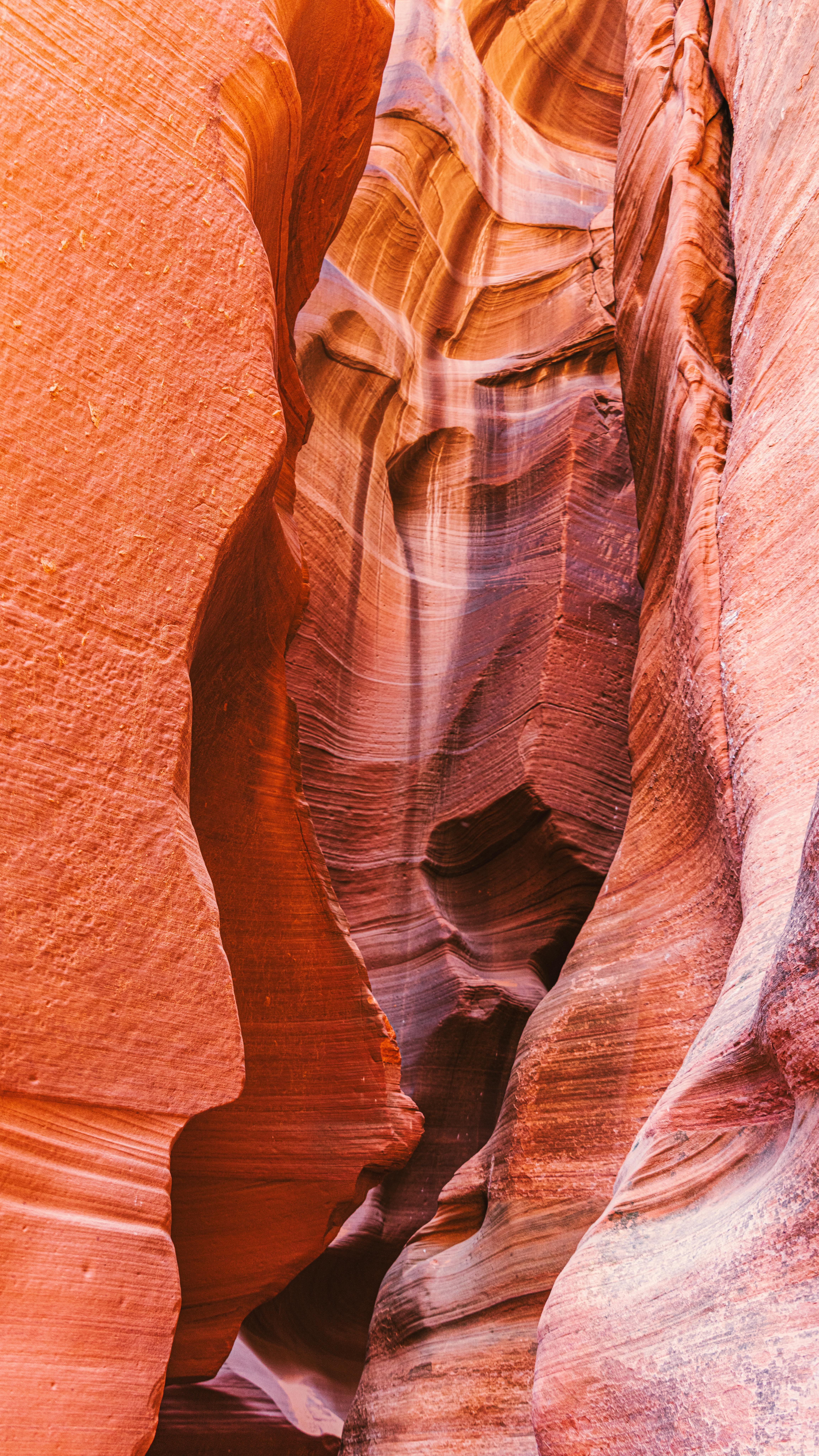 Стратификация семян