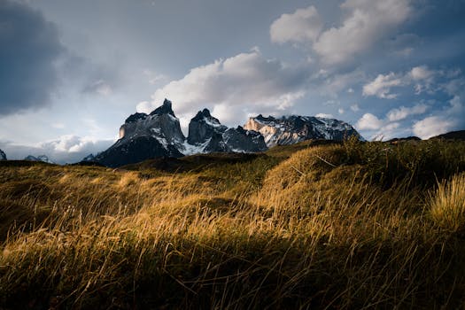 Torres Del Paine, Chile photo 8