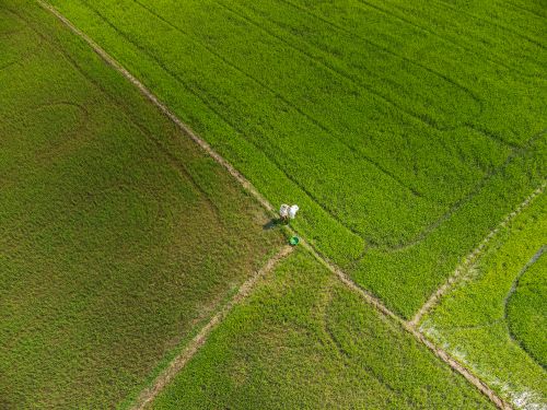 Free Aerial shot of a farmer working in a lush green rice field in Vũng Tàu, Vietnam. Stock Photo