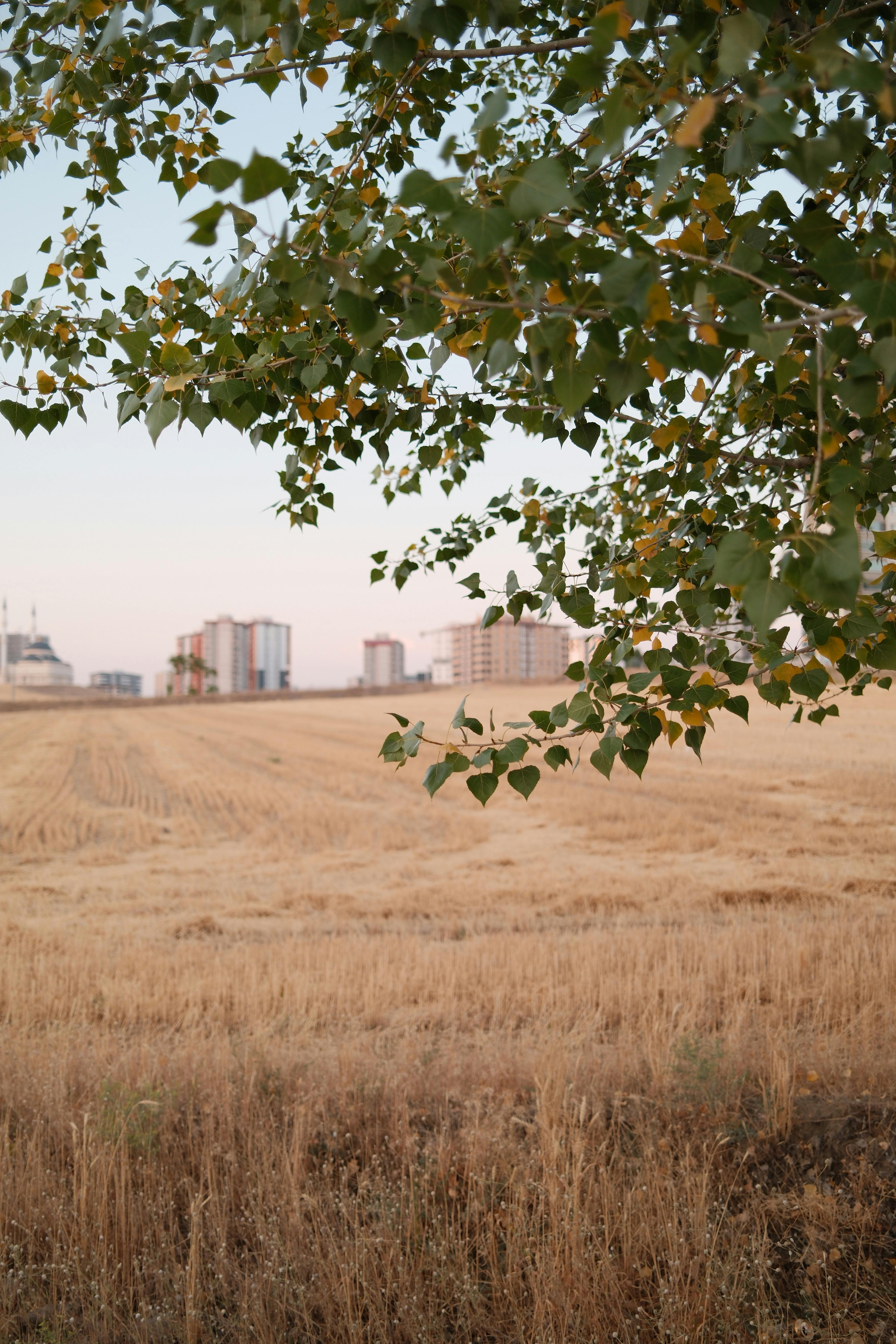 8. Hutan Kota Tuah Himba: Ruang Terbuka Hijau di Jantung Kota