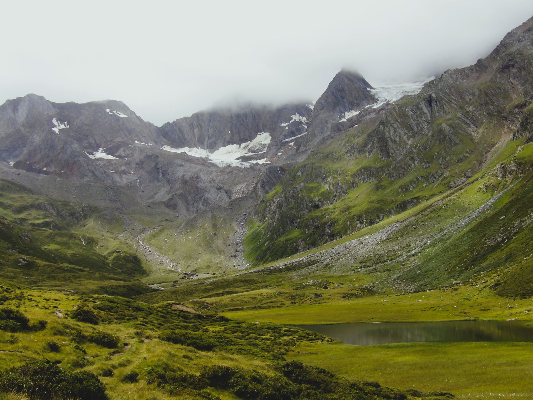 Ateliers de découverte des plantes sauvages médicinales au Parc naturel du Jorat