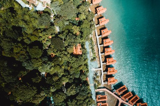 Stunning aerial view showcasing coastal villas alongside lush green forest and blue ocean.
