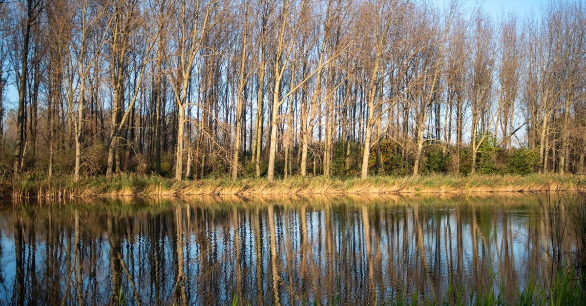 5 Astuces Anti Stress Élémentaires à Adopter Sans Attendre