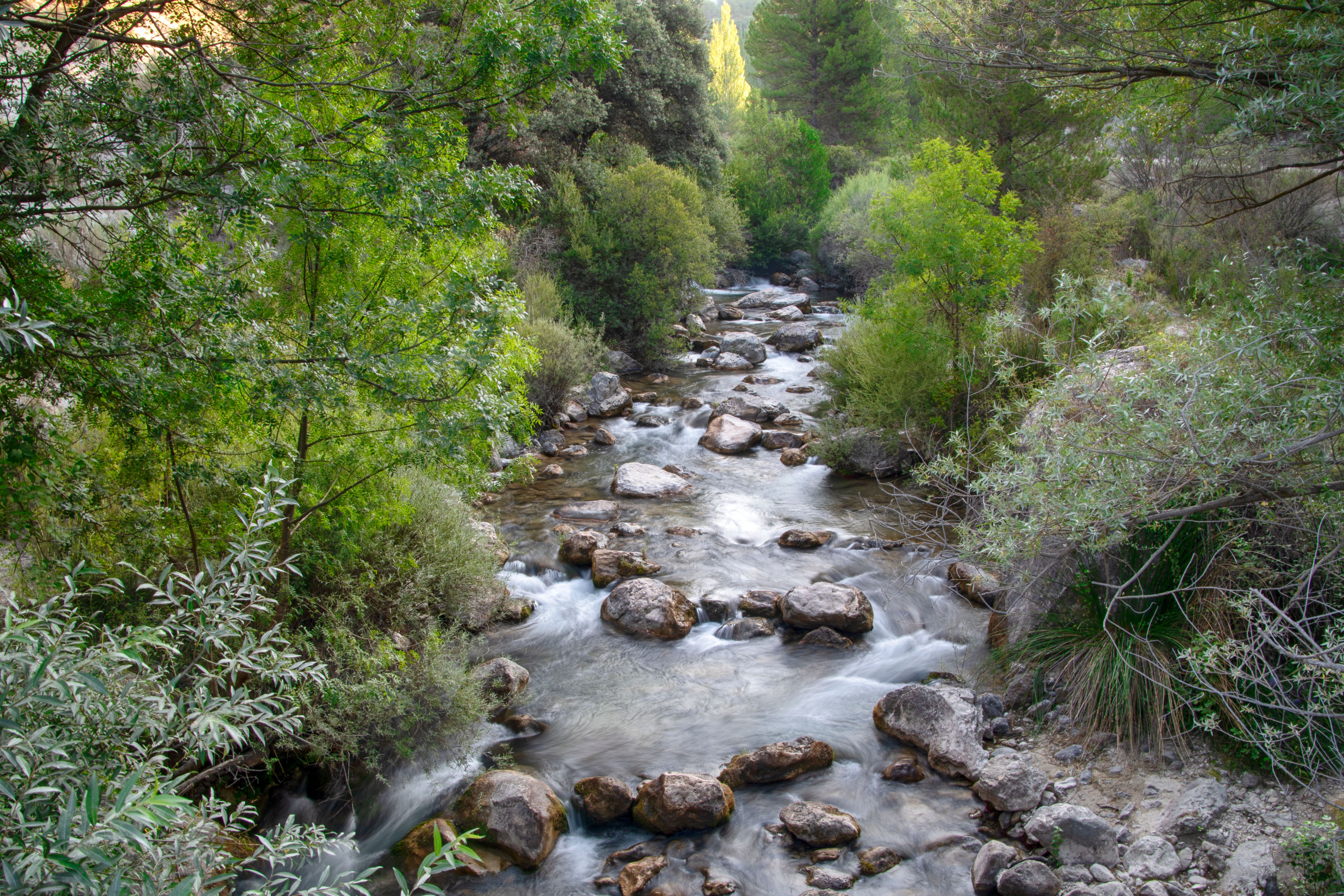 Evaluación ambiental en entorno natural