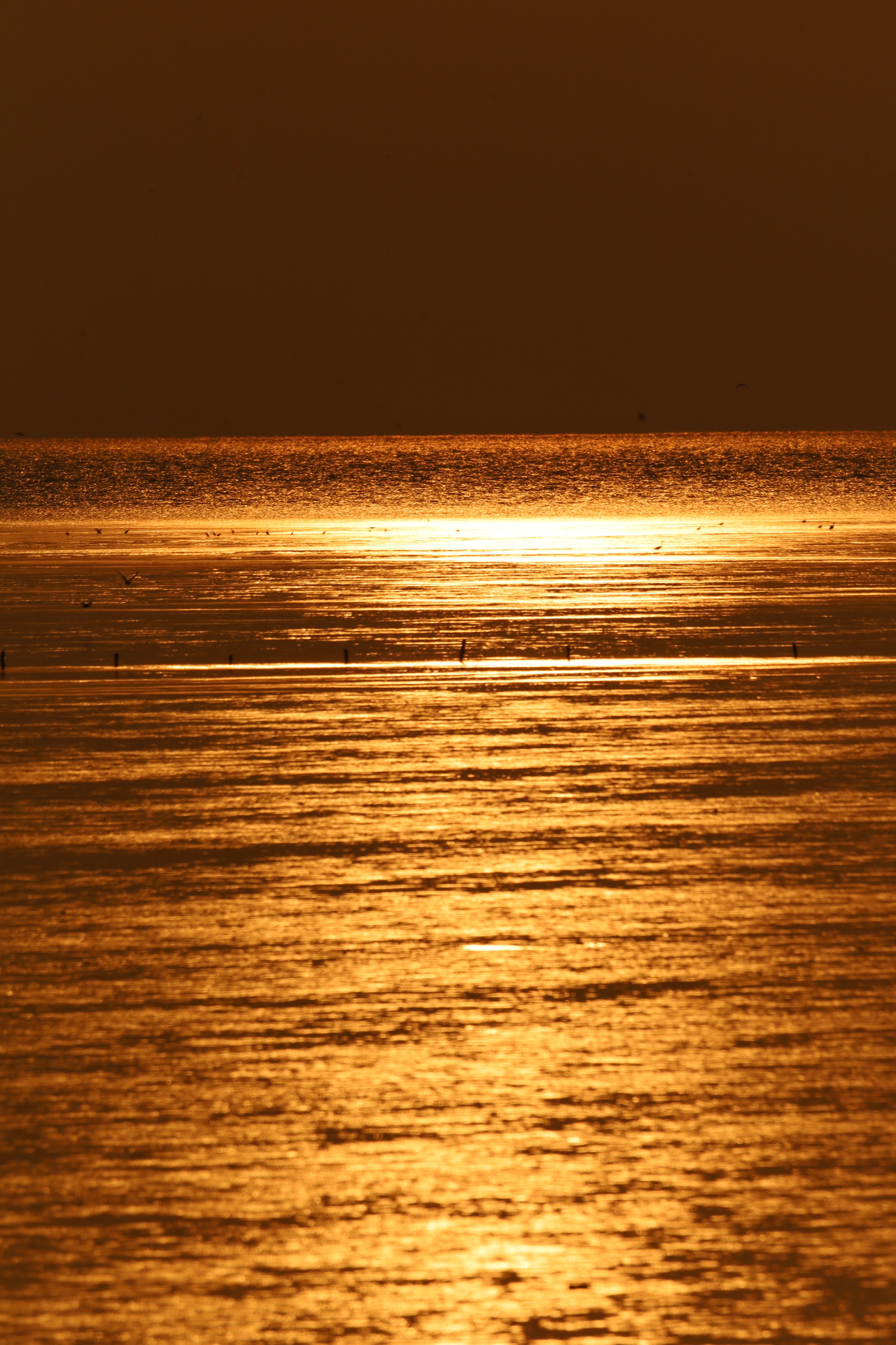 Golden Sunset over Yeonggwang Beach Waters · Free Stock Photo