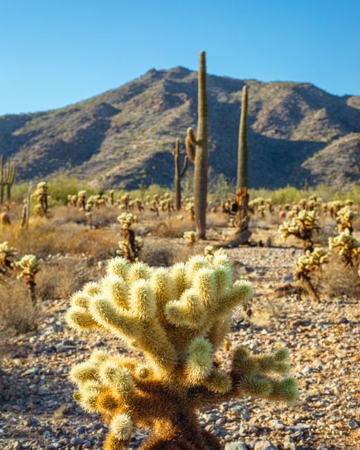 Respecting the Environment: Leave No Trace Respecting the Environment: Leave No Trace