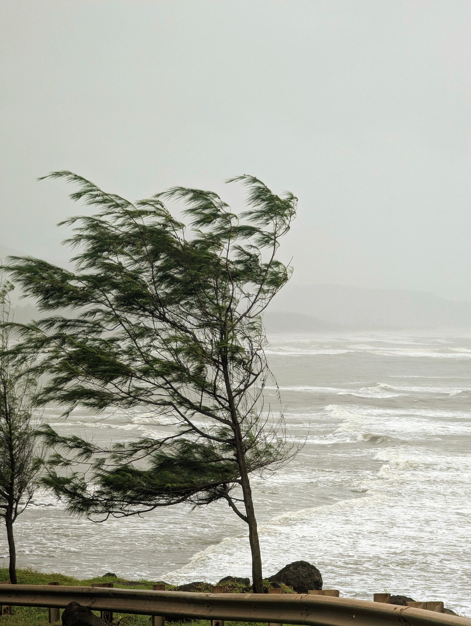 Windy Weather Normal Windy Weather Photos, Download The BEST Free Windy Weather Stock Photos ...