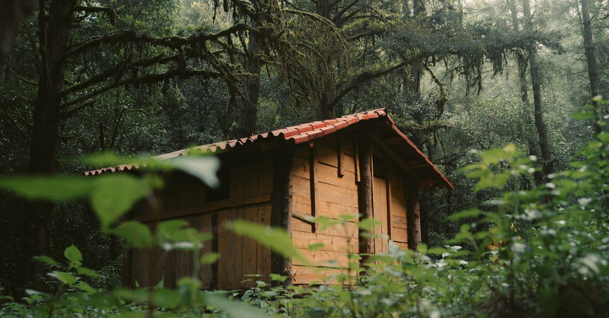 ¿Dónde descansar en cabañas ecológicas en lagos y montañas de El Salvador? ¿Dónde descansar en cabañas ecológicas en lagos y montañas de El Salvador?