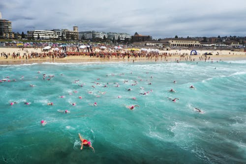 무료 바다에서 수영하는 사람들 스톡 사진