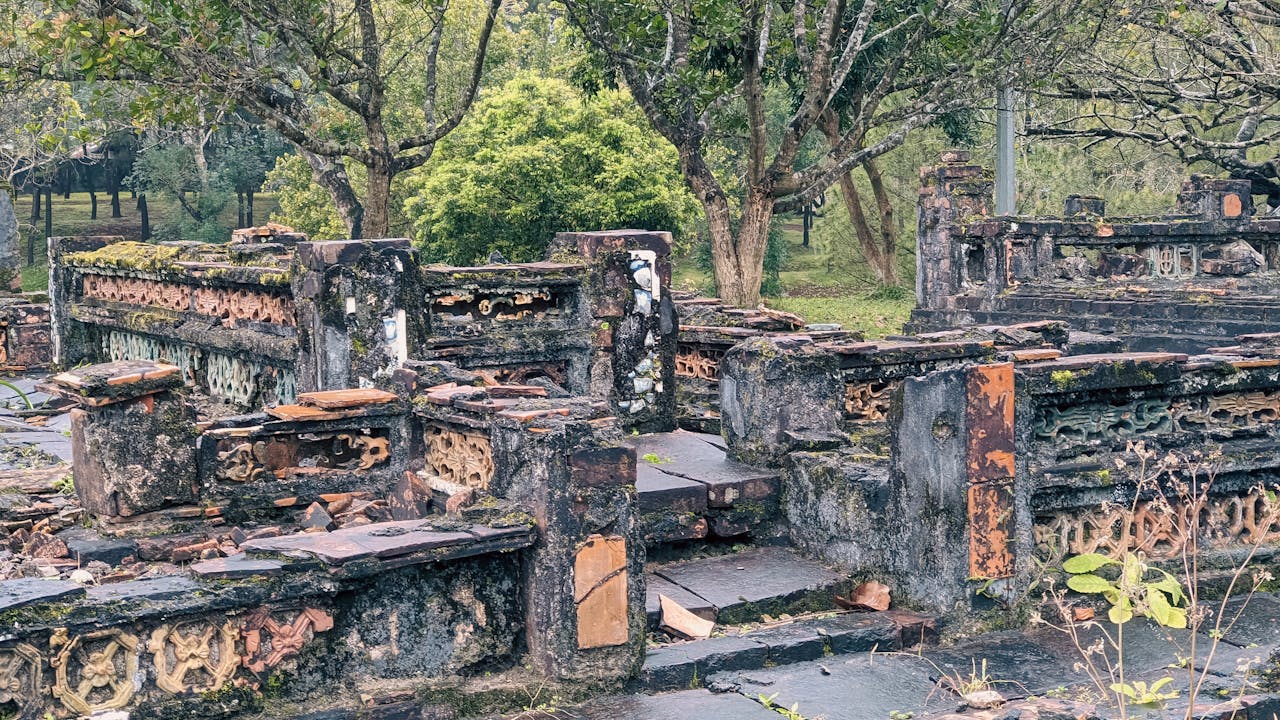 Lý thuyết gió của Darwin được chứng minh