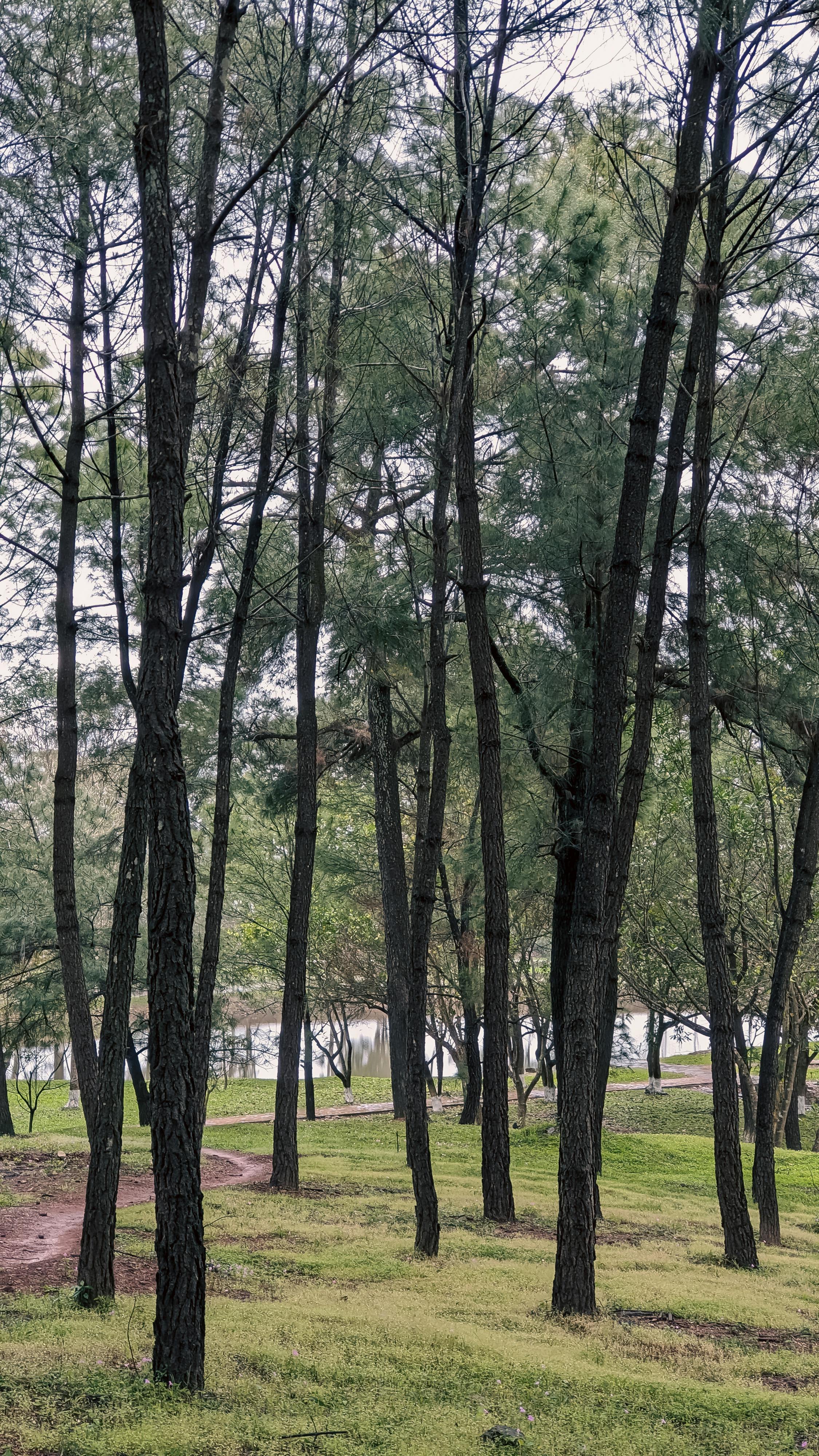 Trung tâm nghiên cứu văn học, phát triển nhà văn Việt Nam