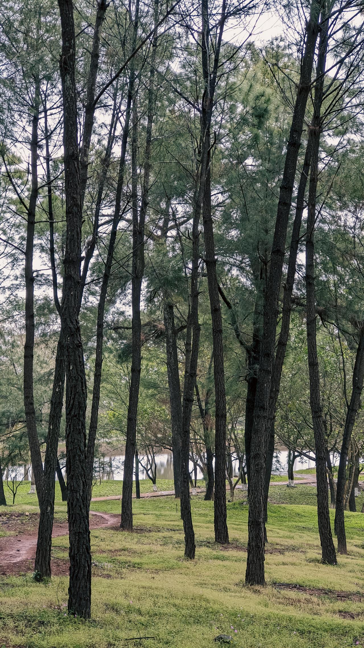 Thám tử lừng danh Conan | Chương 0217