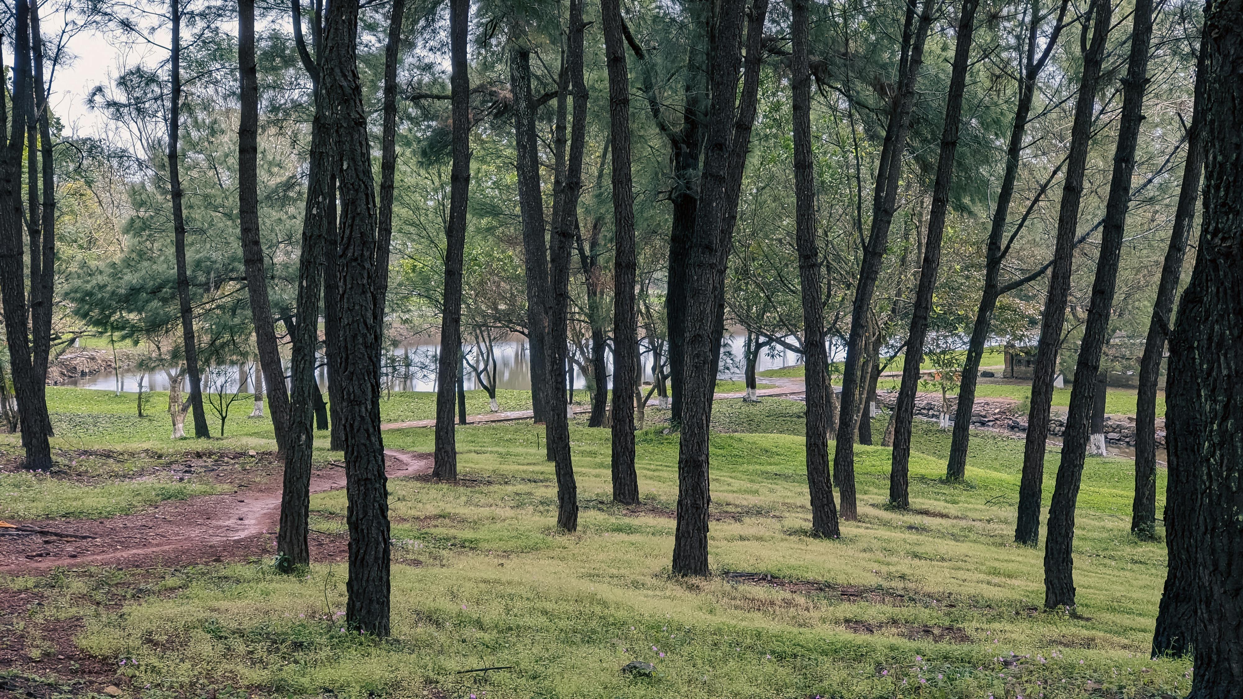 Trung tâm nghiên cứu văn học, phát triển nhà văn Việt Nam