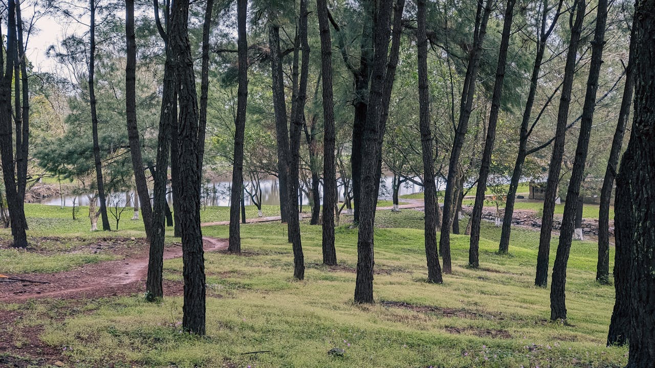 Hành trình chuyển đổi website của nhavan.vn