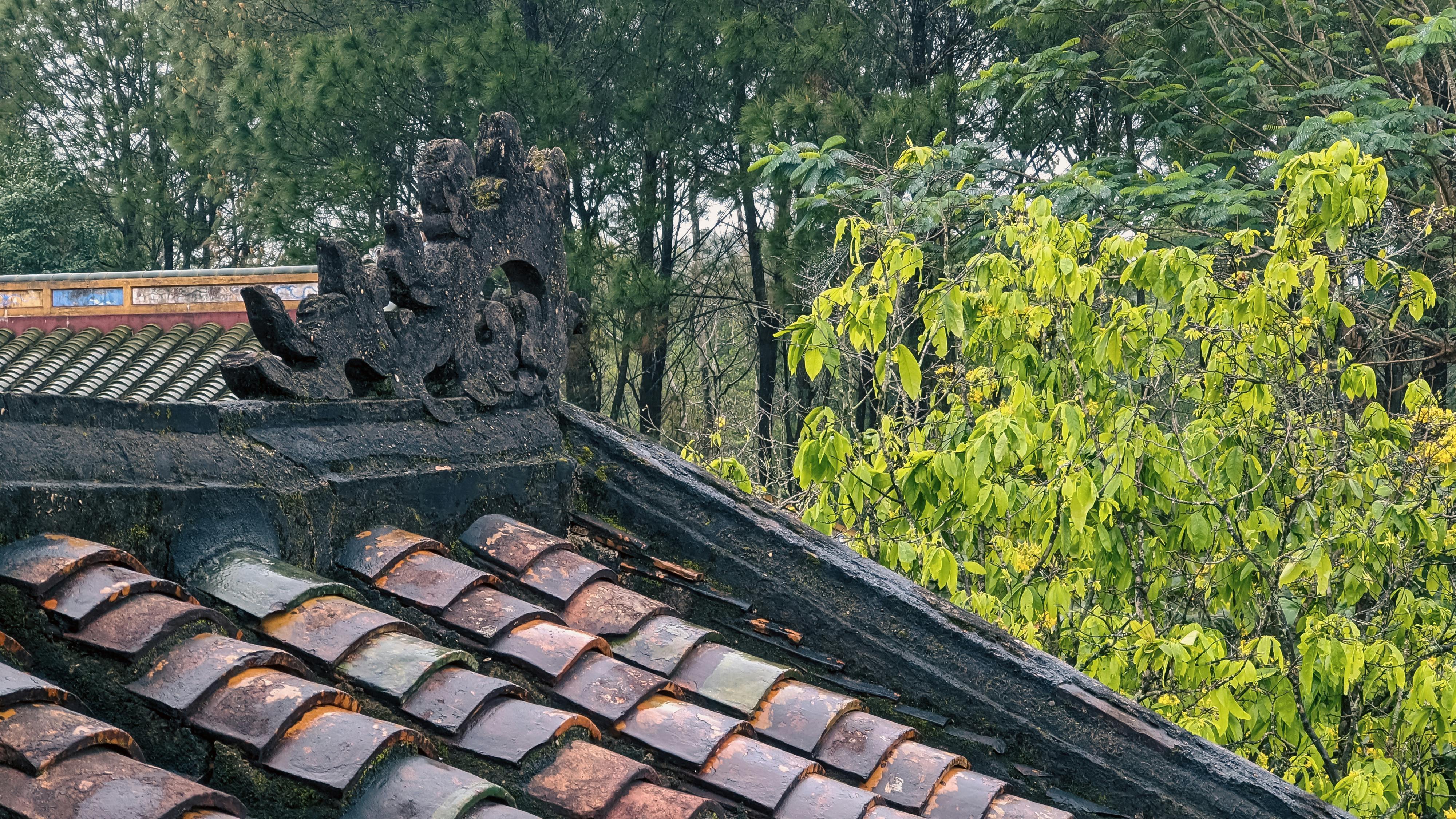 Trung tâm nghiên cứu văn học, phát triển nhà văn Việt Nam