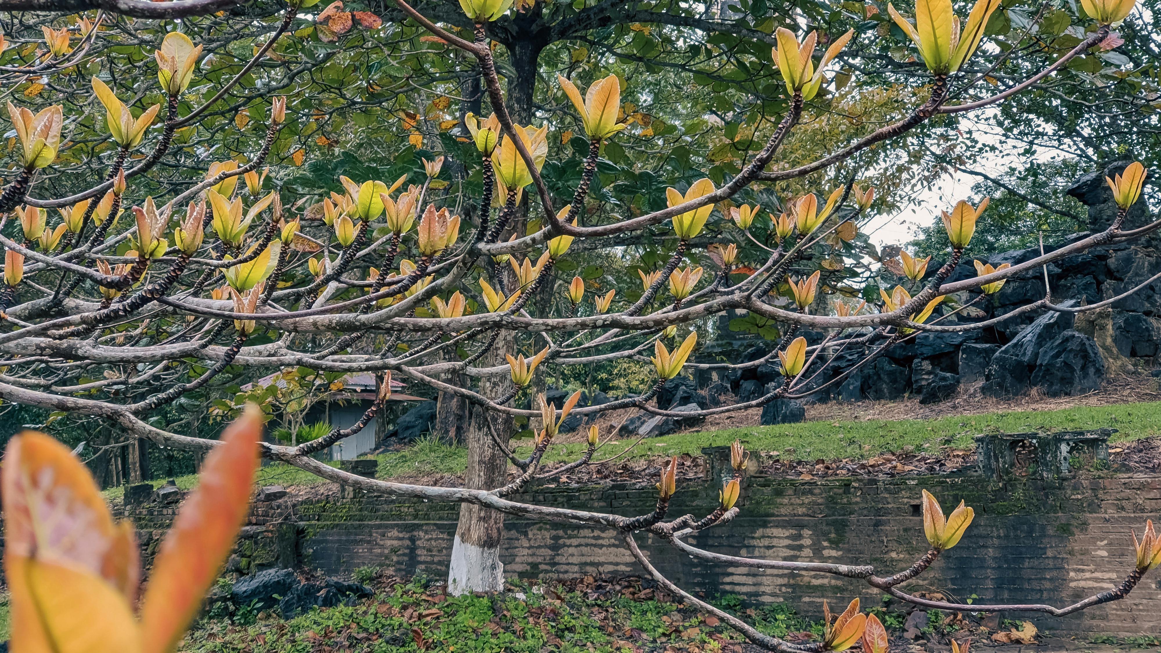Trung tâm nghiên cứu văn học, phát triển nhà văn Việt Nam