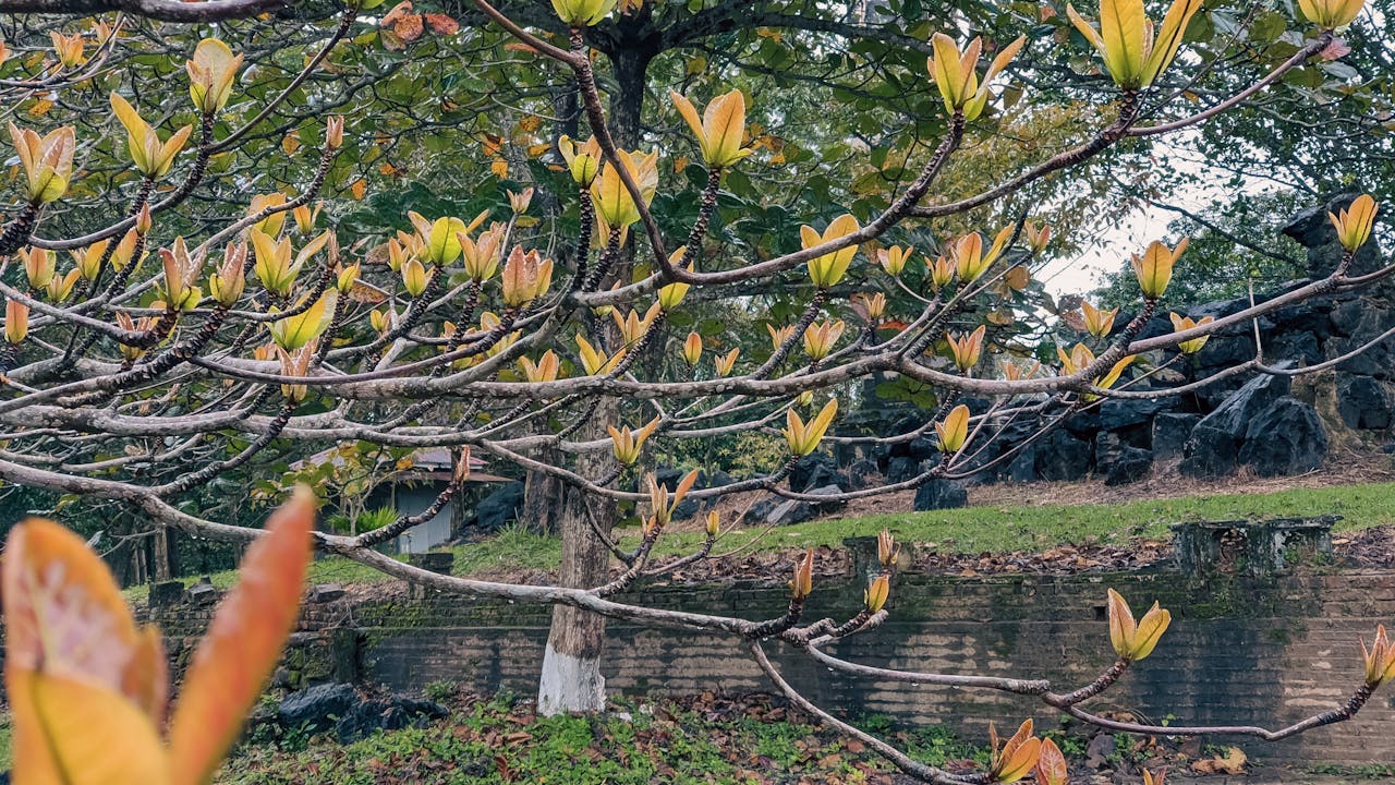 Quyền lực đích thực | Chương 05