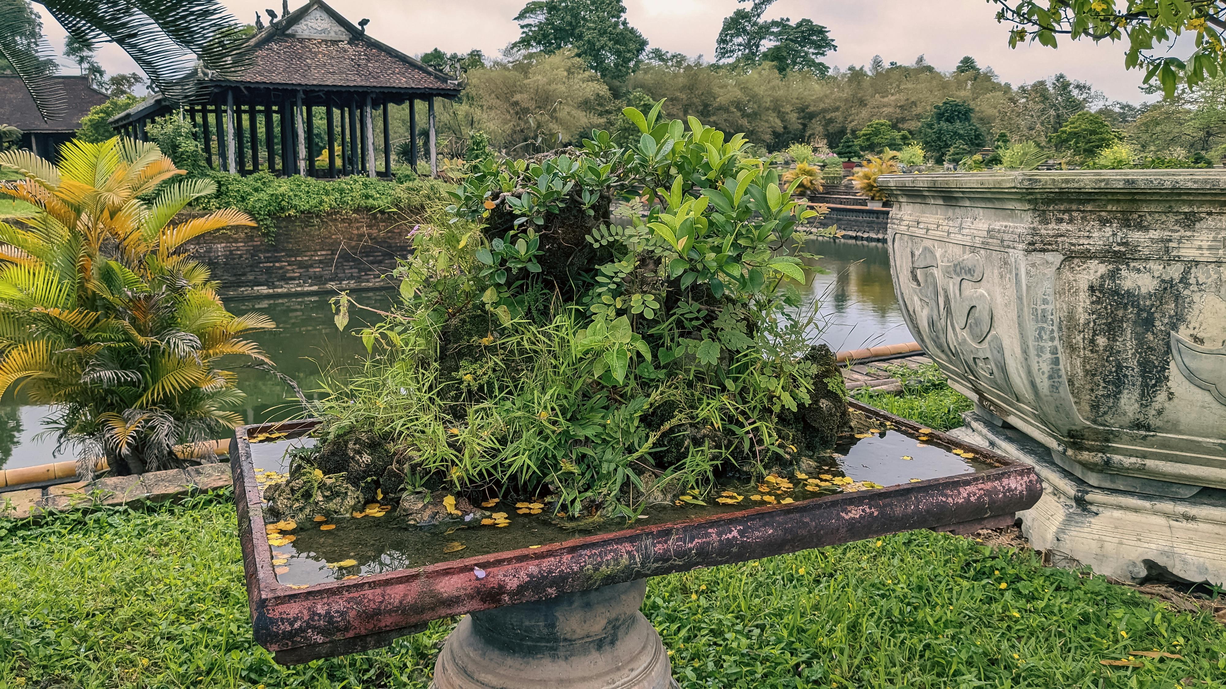 Bạn có thể nhớ một người mà vẫn không muốn họ quay trở lại 442 – viet lach, tam ly hoc, truong thanh, tinh yeu, quen mot nguoi, move on, van nho mot nguoi, cam xuc, that tinh.