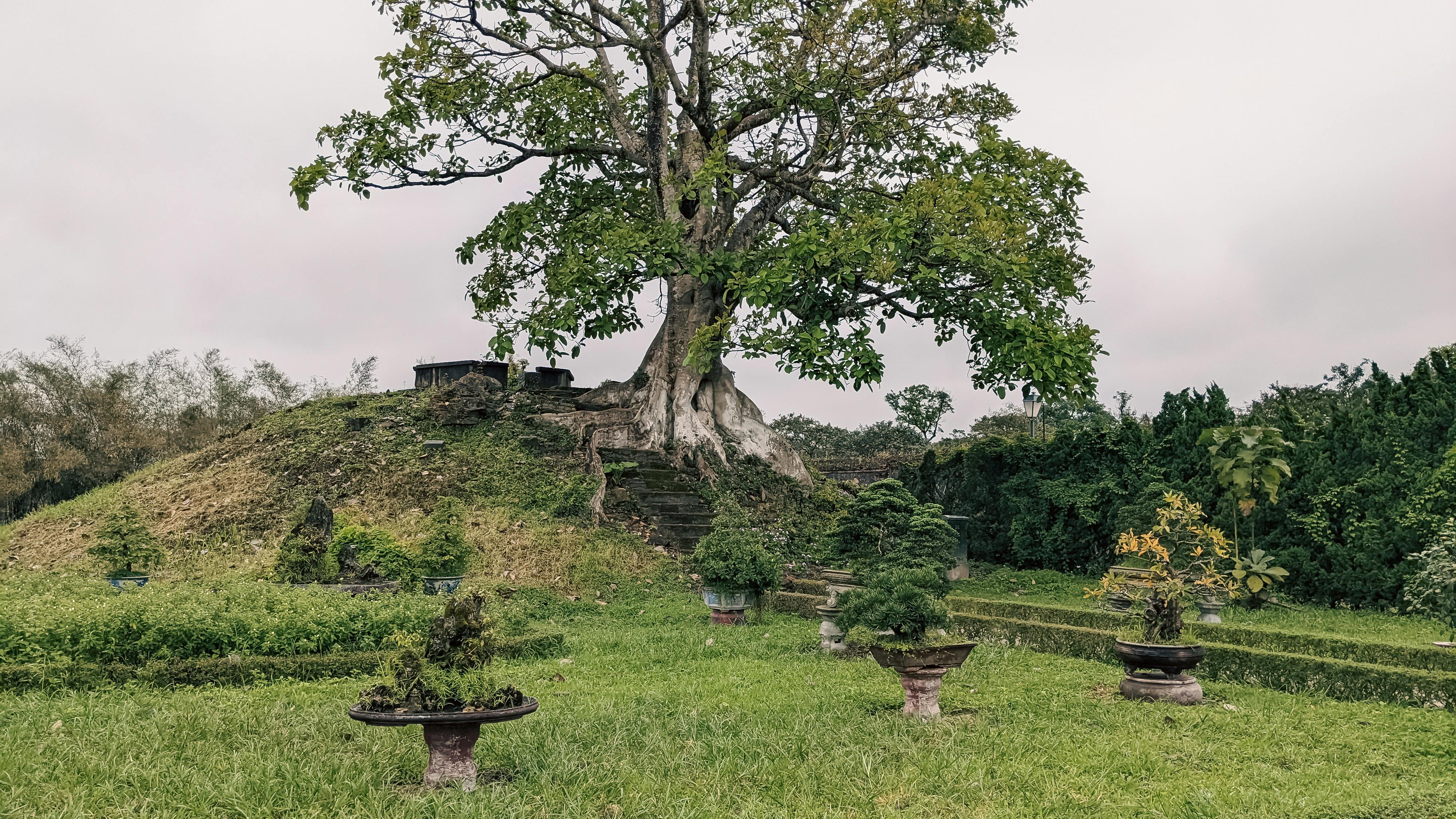 Trung tâm nghiên cứu văn học, phát triển nhà văn Việt Nam