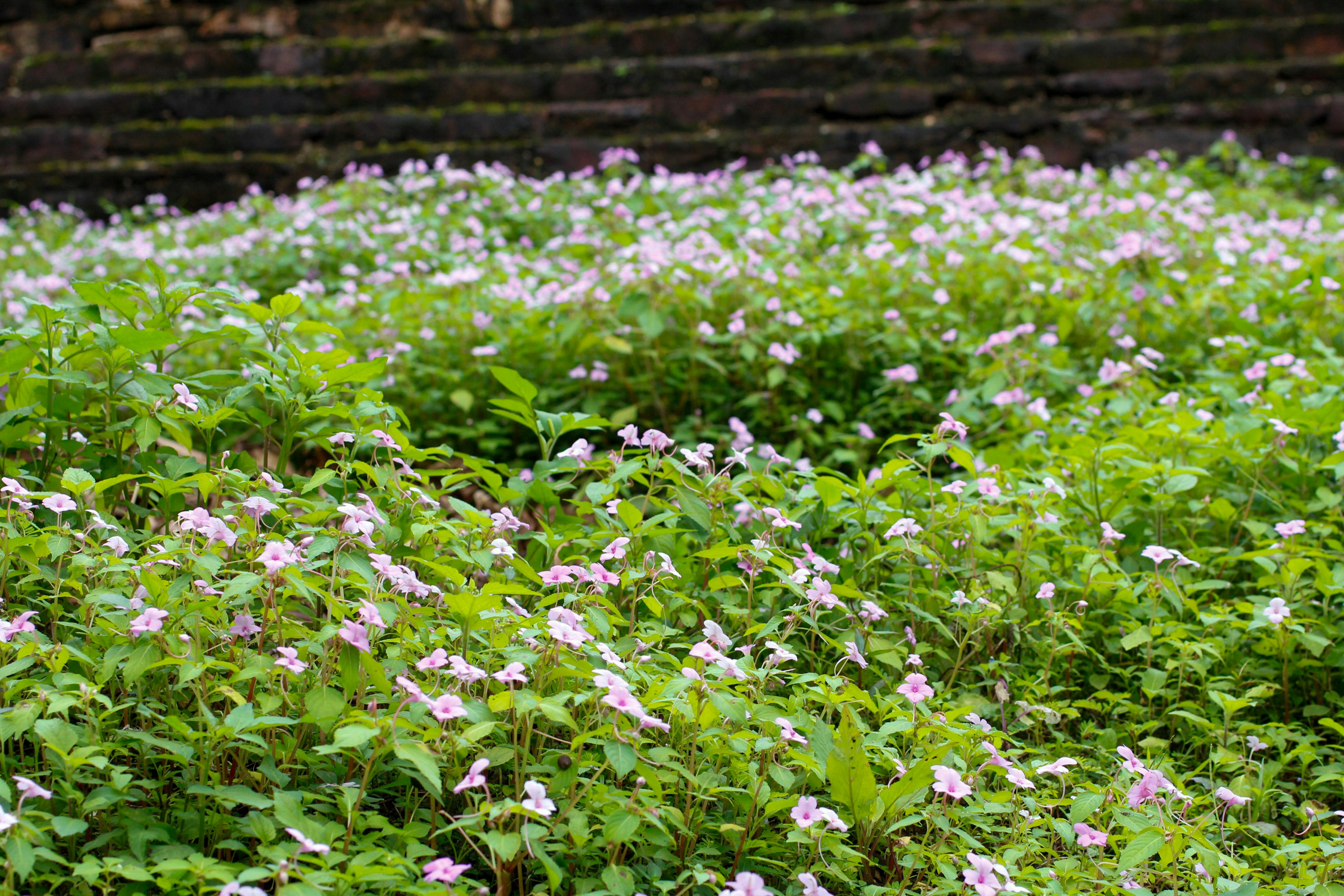 Trung tâm nghiên cứu văn học, phát triển nhà văn Việt Nam